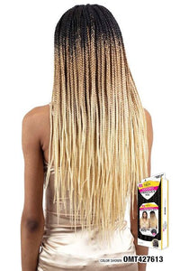 Freetress Equal Synthetic Braided Lace Front Wig - DIAMOND PART BRAID 30" - SoGoodBB.com