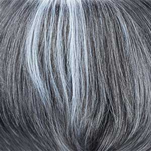 Zury Synthetic Wigs H.GREY Zury Sis Synthetic Fiber Lace Part Full Wig - FW WISDOM 301