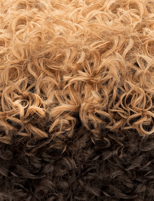 Outre Wigpop Synthetic Hair Full Wig - CEDORA - SoGoodBB.com