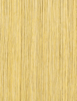 Sensationnel Butta Synthetic Hair Glueless 360 HD Lace Wig - BUTTA 360 UNIT 8 - SoGoodBB.com