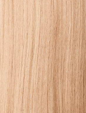 Sensationnel Synthetic Dashly Wig - LACE UNIT 55 - SoGoodBB.com