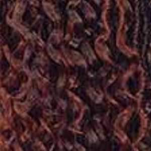 [3 Pack Deal] Freetress Synthetic Crochet Braid - 2X HIPPIE LOC 30