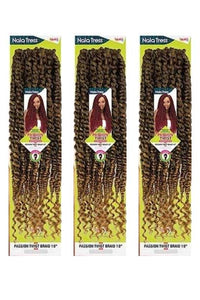 [3 Pack Deal] Janet Collection Nala Tress Synthetic Braid - PASSION TWIST BRAID 18" - SoGoodBB.com