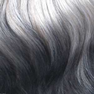 Bobbi Boss Frontal Lace Wigs 3T1B/ASGRY Bobbi Boss Synthetic HD Lace Front Wig - MLF634 DEJA