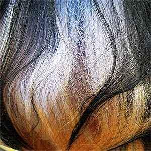 Bobbi Boss Human Hair Blend 13X4 Swiss Lace Front Wig - MBLF180 DAYANA - Unbeatable - SoGoodBB.com