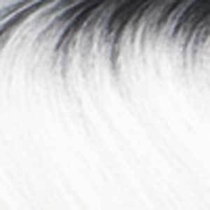 Bobbi Boss Human Hair Blend Lace Wigs TT1B/WHITE Bobbi Boss Human Hair Blend Lace Front Wig - MBLF160 LACINA