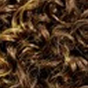 Bobbi Boss Synthetic Wigs FS33/27 Bobbi Boss Synthetic Wigs - M879S SHORT OTTO - Unbeatable