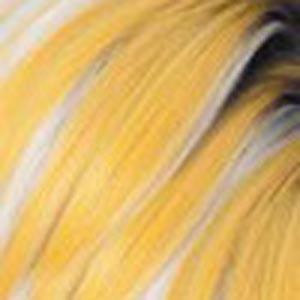 Bobbi Boss Synthetic Wigs YTT6/13144 Bobbi Boss Premium Synthetic Wig - M576 LITA