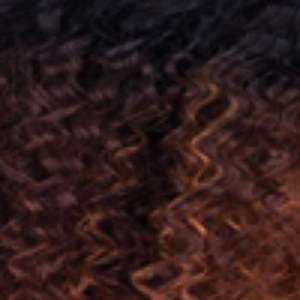 Freetress Equal Synthetic 5 Inch Lace Part Wig - DEEP WAVER 002 - Clearance - SoGoodBB.com