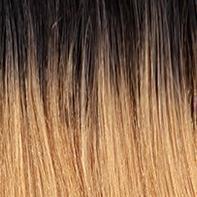 Freetress Equal Synthetic Freedom Part Lace Front Wig - FREE PART LACE 204 - Unbeatable - SoGoodBB.com