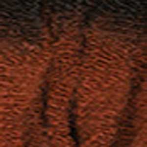 Janet Collection BEAUTY IS EXPRESSION 3X Value Pack Braid - 3X KINKY CRUSH BULK 36