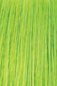 Janet Collection Synthetic Wigs - AFRO WIG - Clearance - SoGoodBB.com