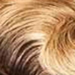 Outre 100% Human Hair Premium Duby Diamond Wig - LANIQUE - SoGoodBB.com
