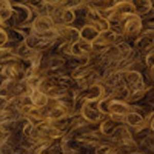 Outre Big Beautiful Hair Synthetic Lace Front Wig - 4B CROWN CURLS - SoGoodBB.com