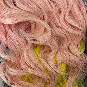 Sensationnel Ear-To-Ear Lace Wigs STRAW BERRY LEMONADE Sensationnel Shear Muse Synthetic Hair Empress Lace Front Wig - NAKIDA