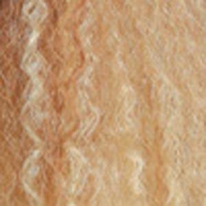 Zury Sis Beyond Synthetic Lace Front Wig - BYD LACE H BOHEMIAN - SoGoodBB.com