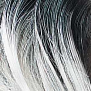 Zury Sis Ms. Wisdom Synthetic HD Lace Part Full Wig - FW PART DAISY - SoGoodBB.com