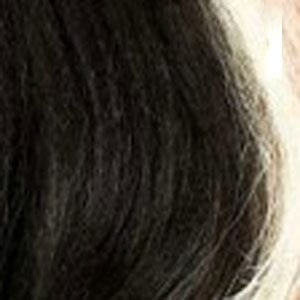 Zury Sis Prime Human Hair Blend Lace Front Wig - PM FP LACE KAMA - SoGoodBB.com
