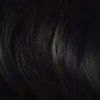 Zury Sis Royal Synthetic Pre Tweezed Swiss Lace Front Wig - SW LACE H LADY - Unbeatable - SoGoodBB.com