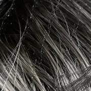 Zury Sis Sassy Lively Spirit Razor Chic Wig - SASSY RC-H BONI - Unbeatable - SoGoodBB.com