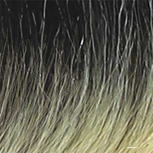 Zury Sis Synthetic Hair Angel Bob Style HD Lace Front Wig - ABENA - SoGoodBB.com