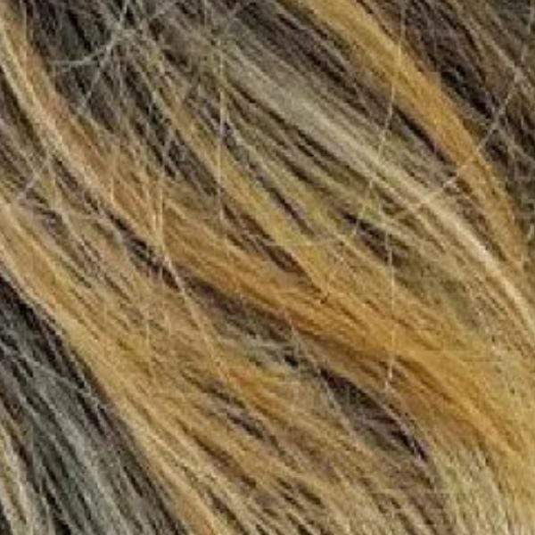 Zury Sis Synthetic Hair Moon Part Wig - SASSY HM-H MIU - SoGoodBB.com